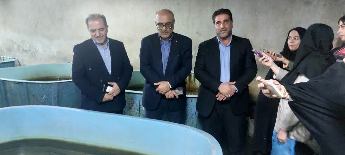 تولید یک میلیون و ۹۱۶ هزار قطعه لارو ماهیان خاویاری/ بچه‌ماهیان خاویاری برای بازسازی ذخایر خزر رهاسازی شدند